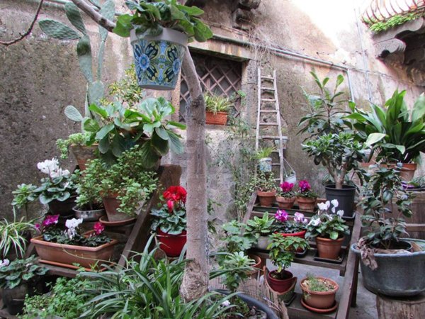 casa indipendente in vendita a Bronte