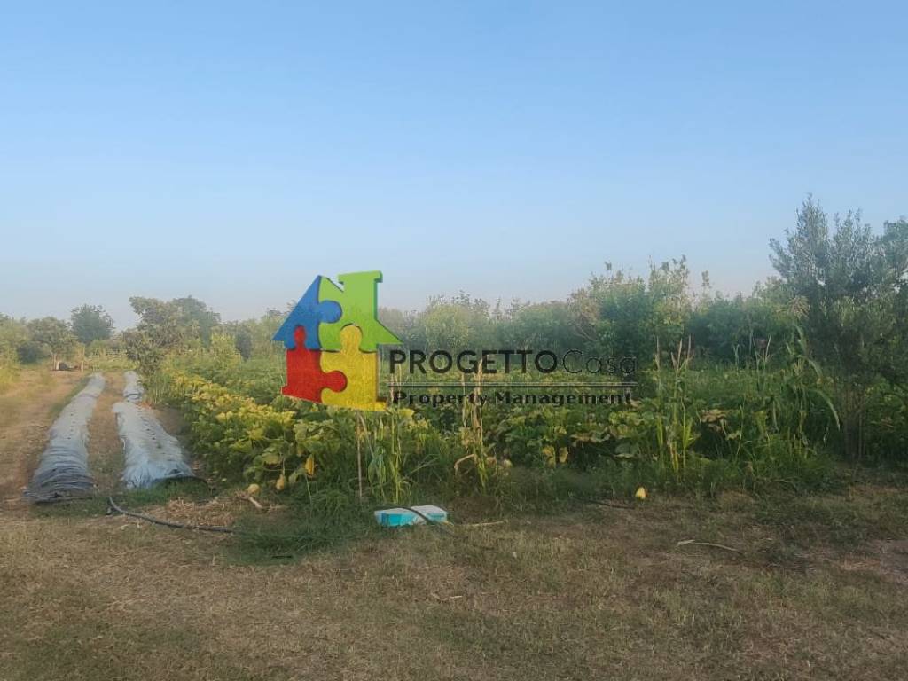 terreno agricolo in vendita a Calatabiano