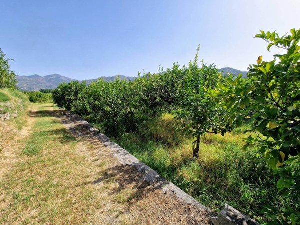 terreno agricolo in vendita a Calatabiano