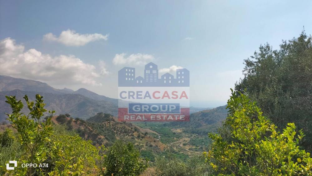 terreno agricolo in vendita a Calatabiano