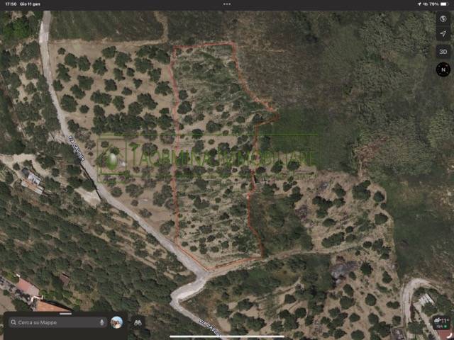 terreno agricolo in vendita a Calatabiano