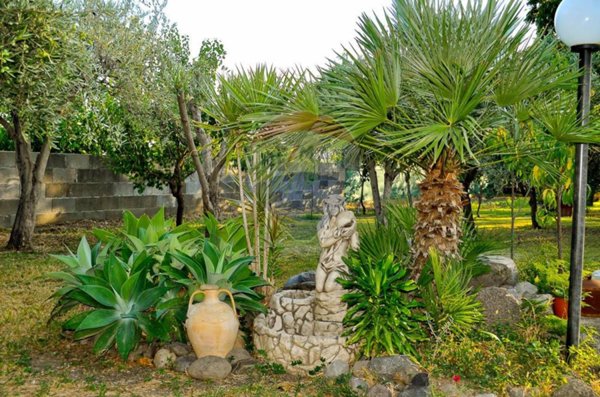terreno agricolo in vendita a Calatabiano