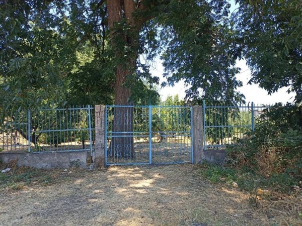 terreno agricolo in vendita a Calatabiano
