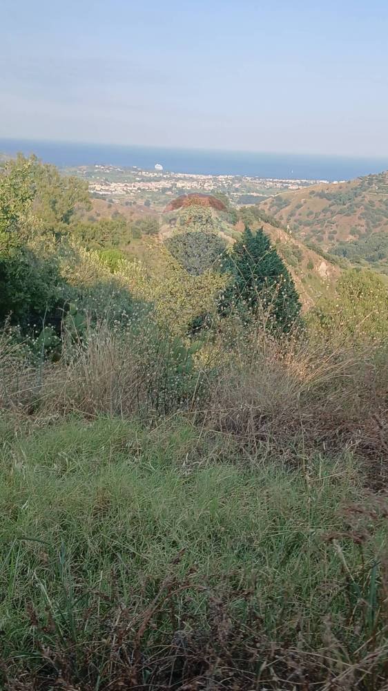terreno agricolo in vendita a Calatabiano