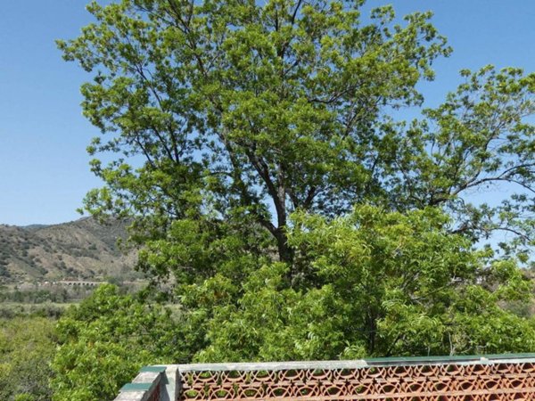 appartamento in vendita a Calatabiano