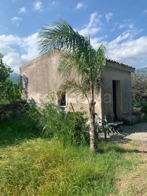 terreno agricolo in vendita a Calatabiano