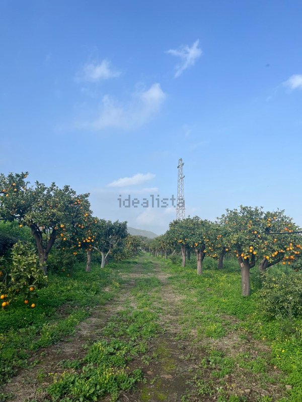 terreno agricolo in vendita a Calatabiano