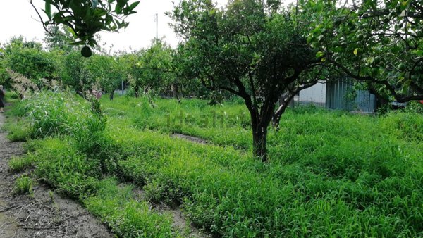 terreno agricolo in vendita a Calatabiano