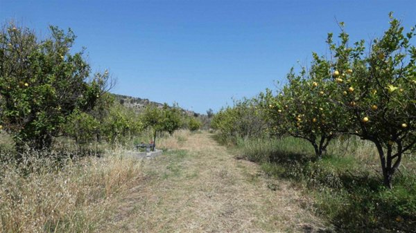 azienda agricola in vendita a Calatabiano