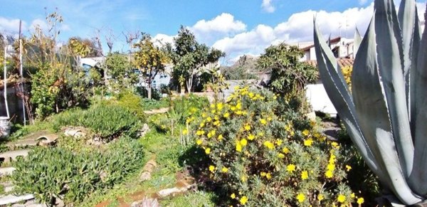 appartamento in vendita a Calatabiano