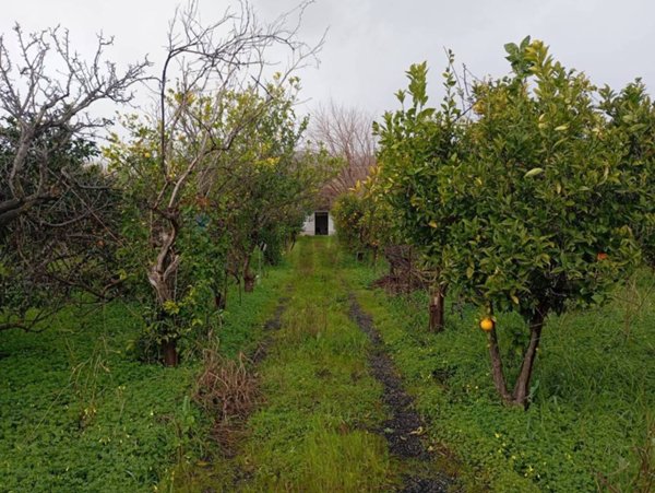 terreno agricolo in vendita a Calatabiano