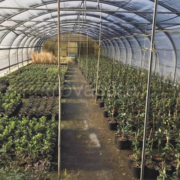 terreno agricolo in vendita a Calatabiano