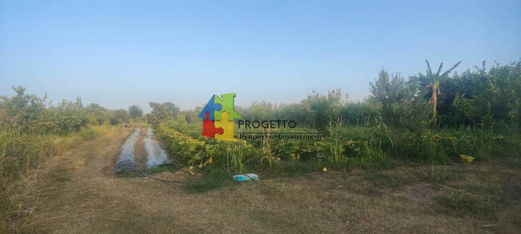 terreno agricolo in vendita a Calatabiano