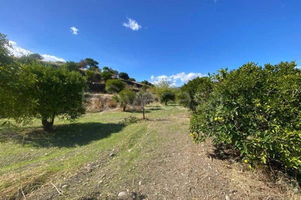 terreno agricolo in vendita a Calatabiano