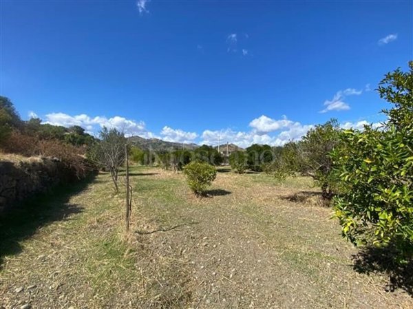 terreno agricolo in vendita a Calatabiano