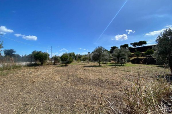 terreno agricolo in vendita a Calatabiano