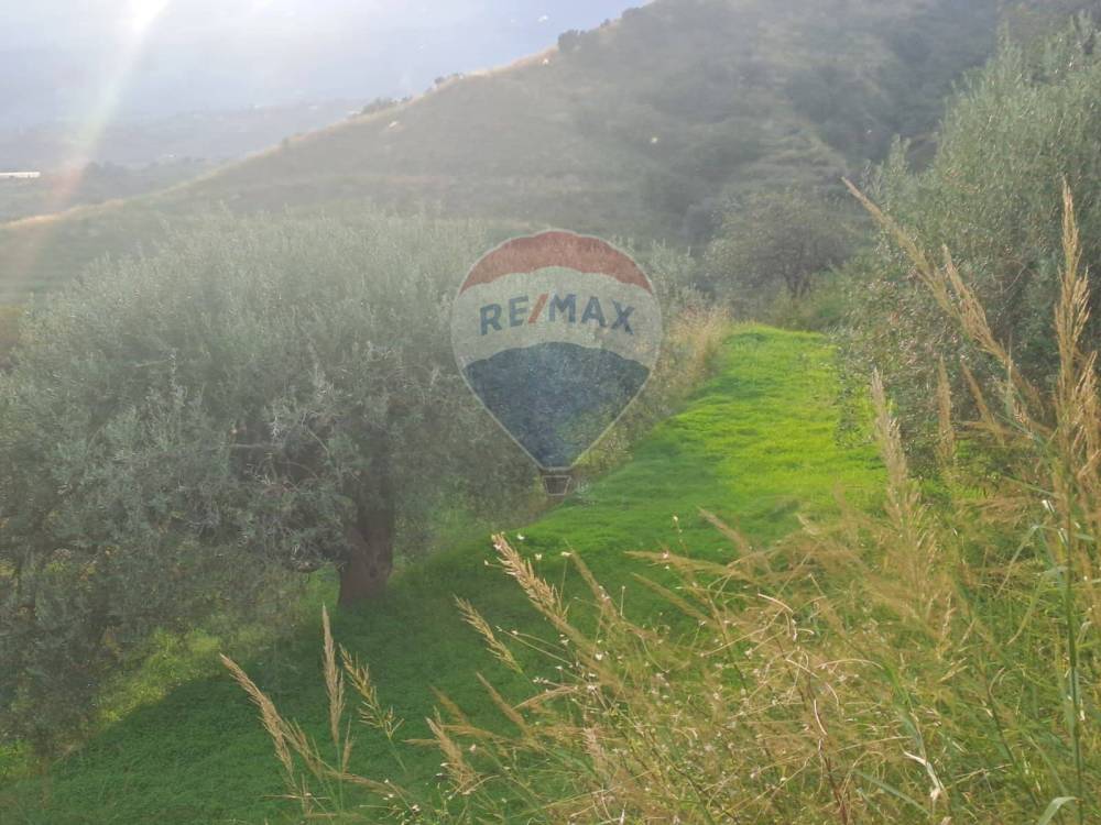 terreno agricolo in vendita a Calatabiano