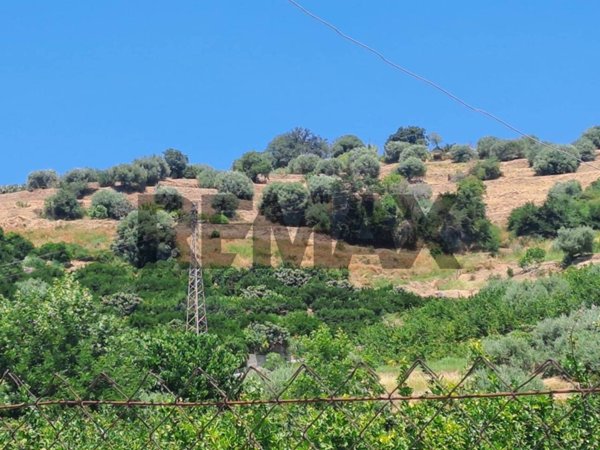 terreno agricolo in vendita a Calatabiano in zona Lapide Pasteria