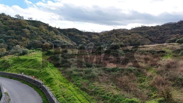 terreno agricolo in vendita a Calatabiano