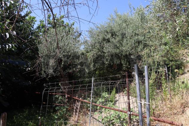 terreno agricolo in vendita a Calatabiano