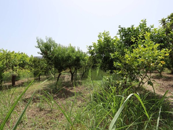 terreno agricolo in vendita a Calatabiano in zona Lapide Pasteria