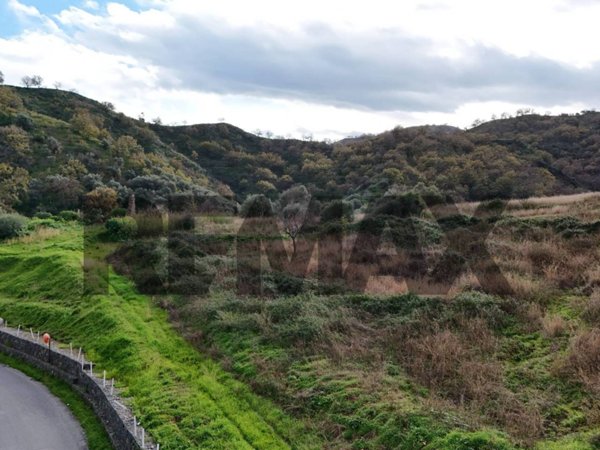 terreno agricolo in vendita a Calatabiano
