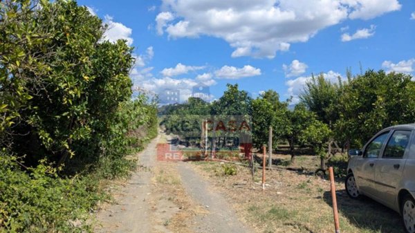 terreno agricolo in vendita a Calatabiano