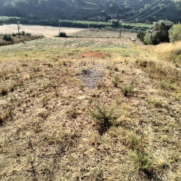 terreno agricolo in vendita a Caltagirone