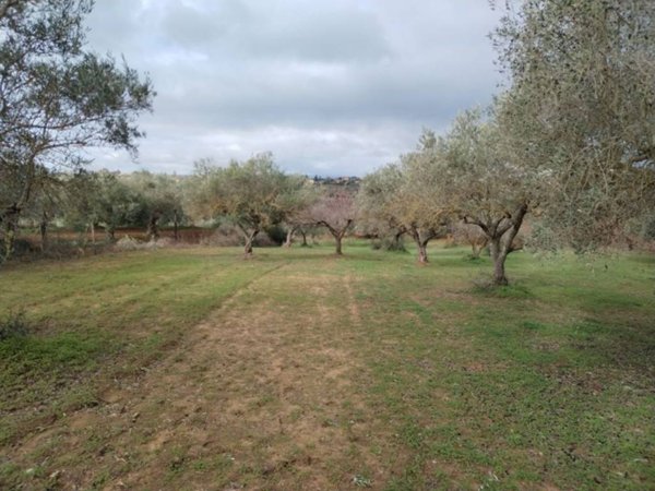 terreno agricolo in vendita a Caltagirone