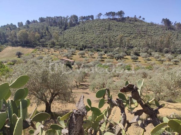 casa indipendente in vendita a Caltagirone in zona Santo Pietro
