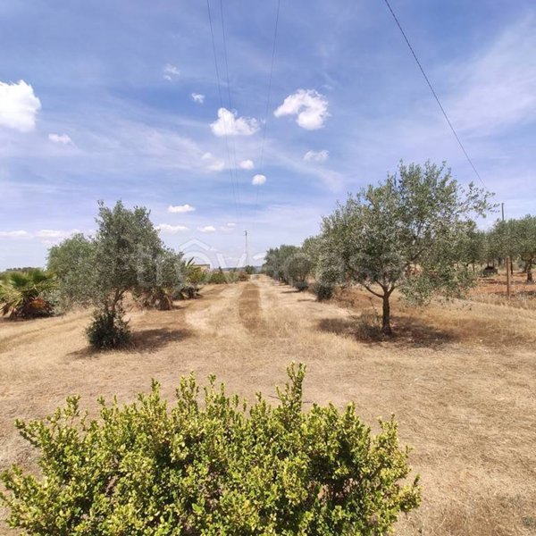 casa indipendente in vendita a Caltagirone in zona Santo Pietro