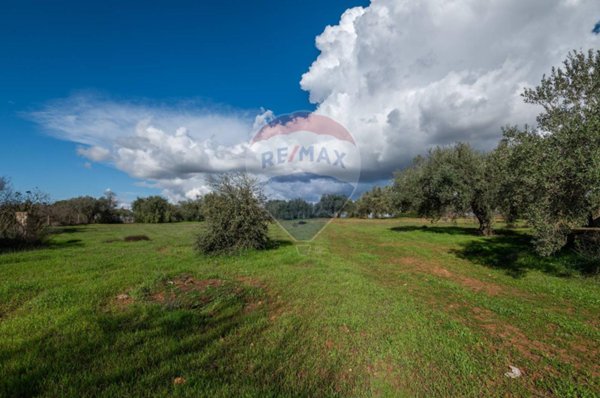 terreno agricolo in vendita a Caltagirone in zona Santo Pietro