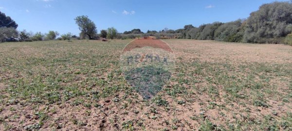 terreno agricolo in vendita a Caltagirone in zona Santo Pietro