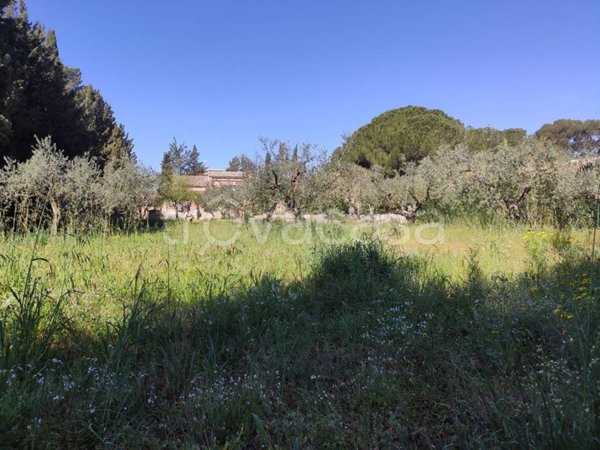 terreno agricolo in vendita a Caltagirone