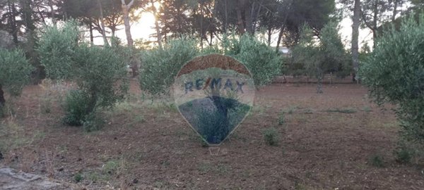 terreno agricolo in vendita a Caltagirone