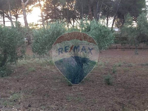 terreno agricolo in vendita a Caltagirone