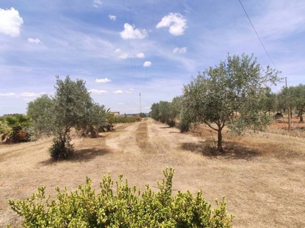 terreno agricolo in vendita a Caltagirone in zona Santo Pietro