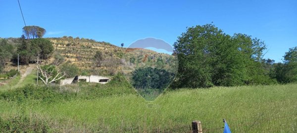 terreno agricolo in vendita a Caltagirone