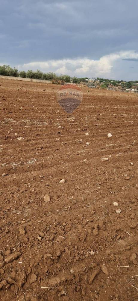 terreno edificabile in vendita a Caltagirone