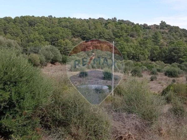 terreno agricolo in vendita a Caltagirone