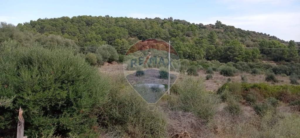 terreno agricolo in vendita a Caltagirone in zona Santo Pietro