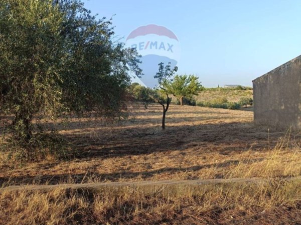 terreno agricolo in vendita a Caltagirone