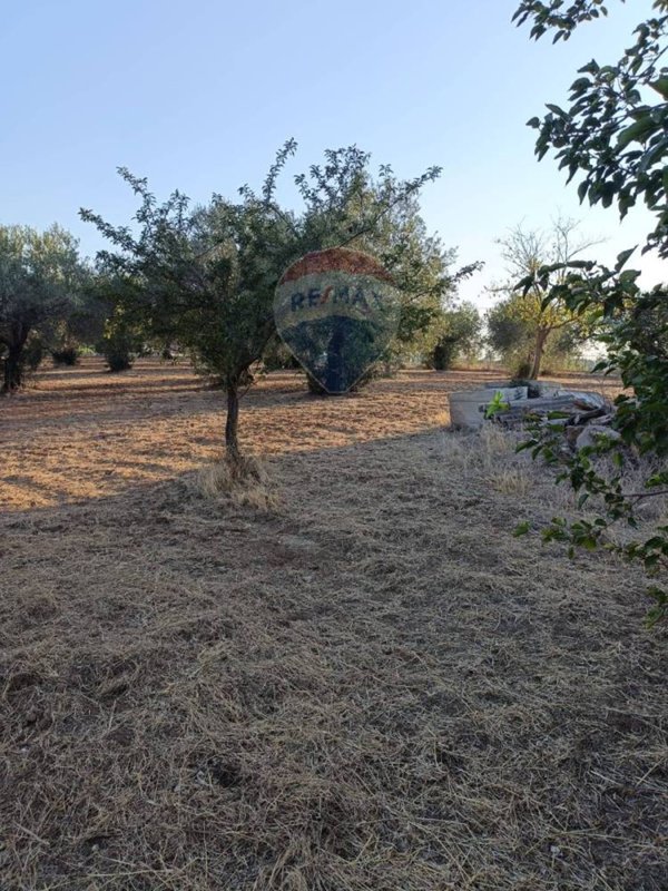 appartamento in vendita a Caltagirone
