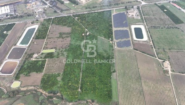 terreno agricolo in vendita a Caltagirone