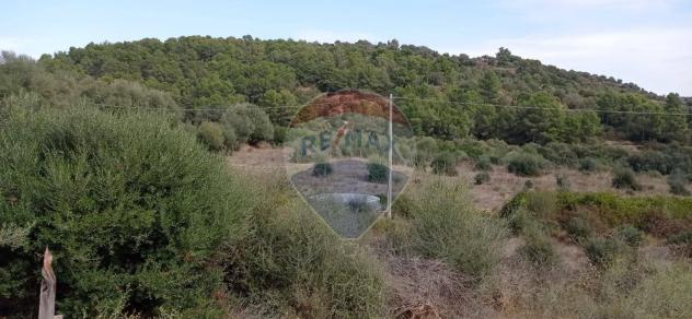 terreno agricolo in vendita a Caltagirone in zona Santo Pietro