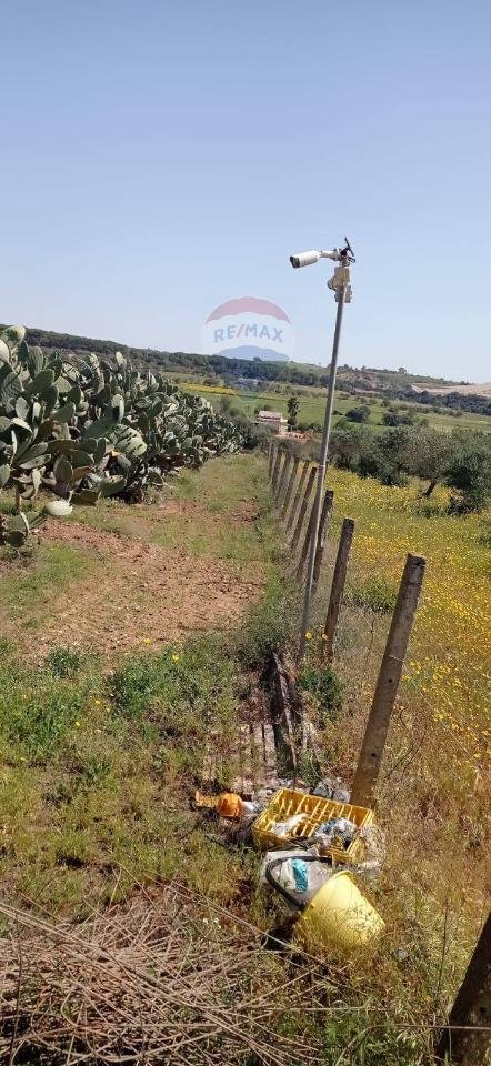 terreno agricolo in vendita a Caltagirone