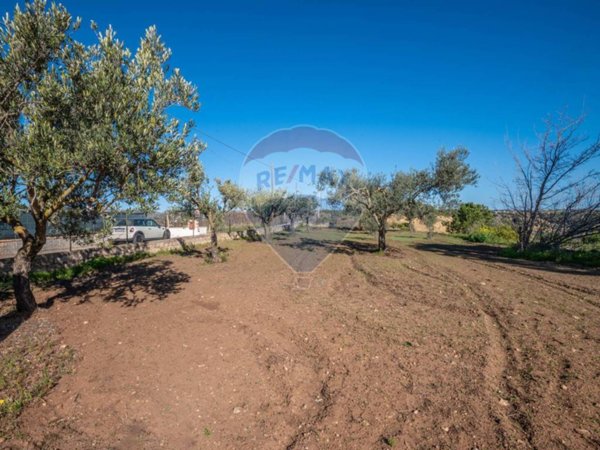 terreno agricolo in vendita a Caltagirone