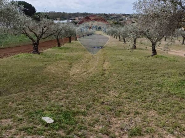 terreno agricolo in vendita a Caltagirone in zona Santo Pietro