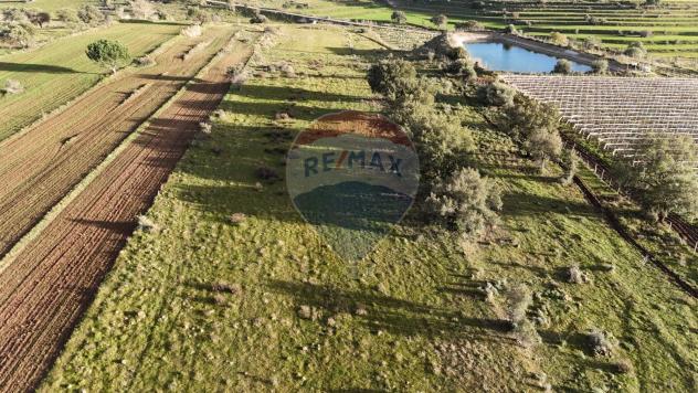 terreno agricolo in vendita a Caltagirone