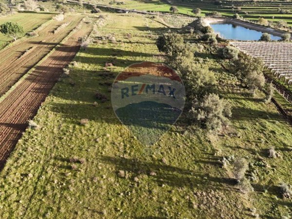 terreno agricolo in vendita a Caltagirone